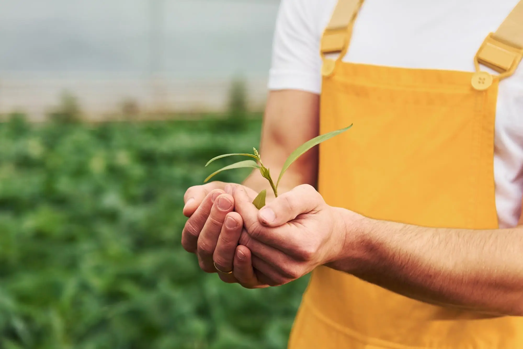 Mohammed Noor Trading